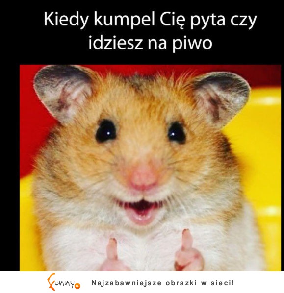 Idziemy na piwo