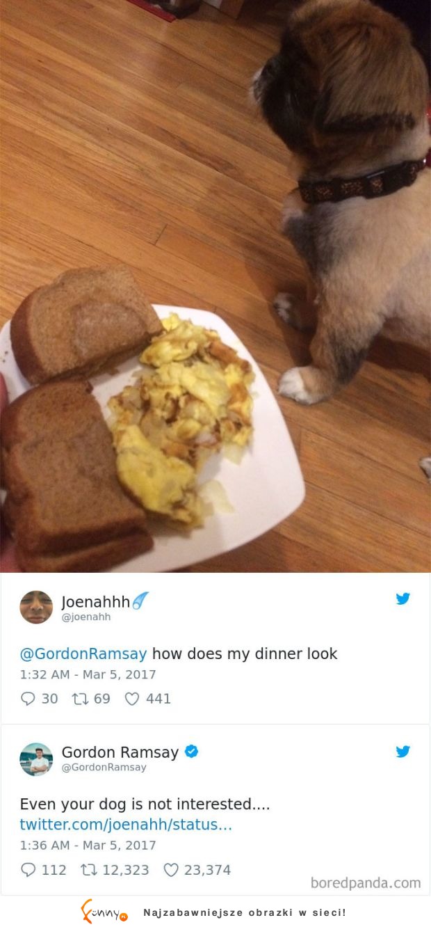 11 zabawnych tweetów - Gordon Ramsay ocenia nadesłane zdjęcia obiadów!