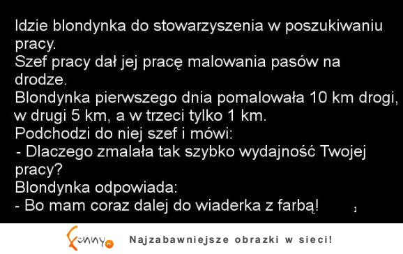 Blondynka jak zawsze ma świetne wytłumaczenie!