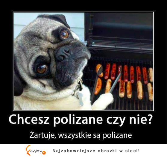 Polizane czy nie :D