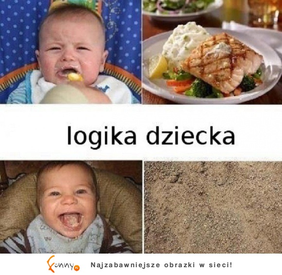 Logika