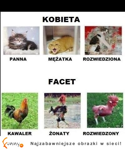 Stan cywilny KOBIETA vs FACET! DOBRE :D