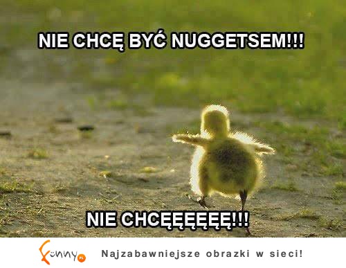 Nie chcę być NUGGETSEM!