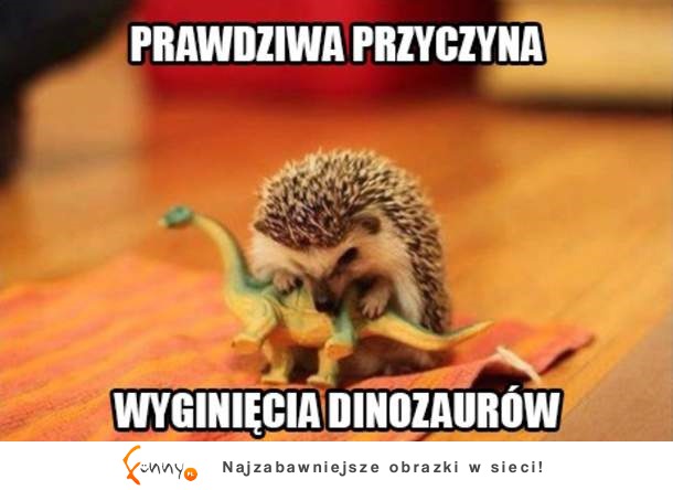 Poznajcie prawdę