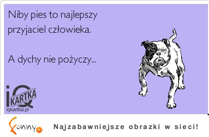 Najlepszy przyjaciel