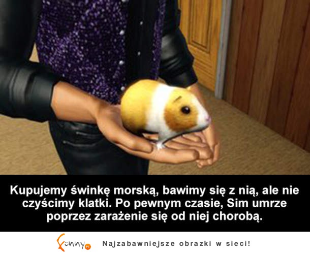 Jak kreatywnie zabić swojego Sima - poradnik! :D