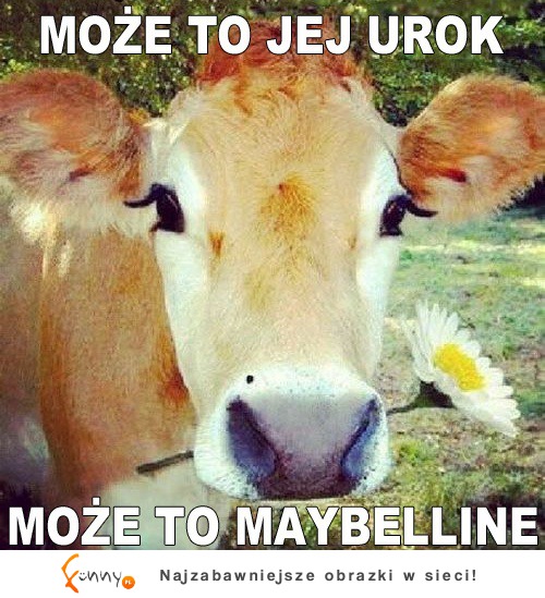 Może to jej urok