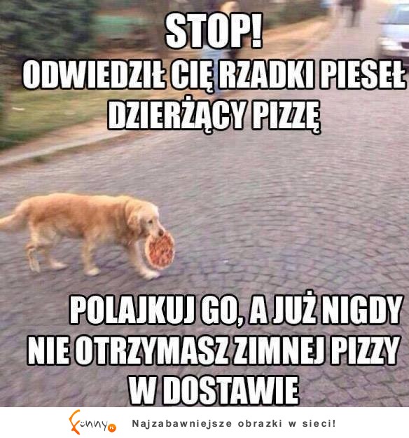 Jeśli wypełnisz ustaloną przez niego instrukcję, zyskasz niesamowite profity! :D