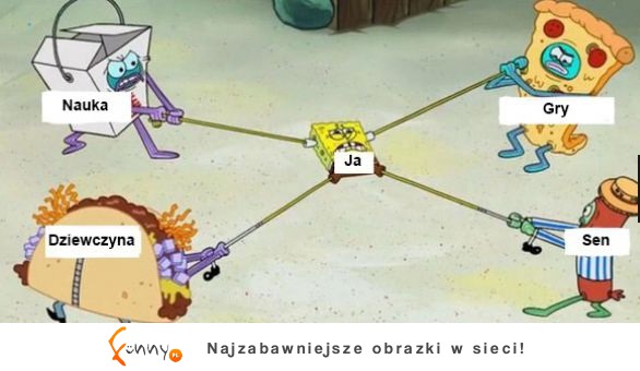 Moje życie w jednym obrazku