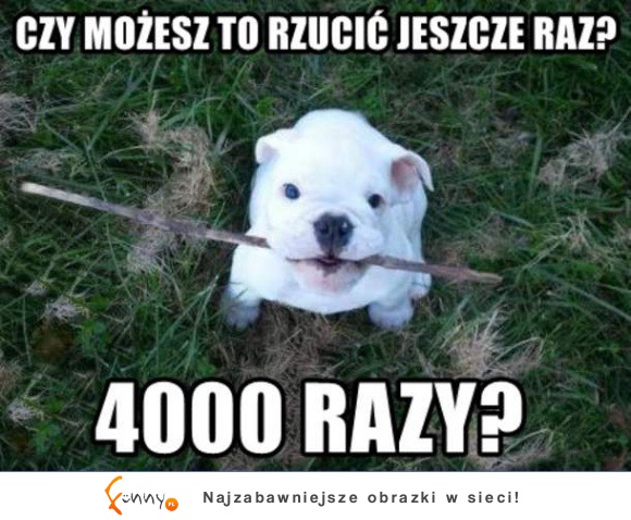 Rzuć mi, rzuć mi, rzuć mi!