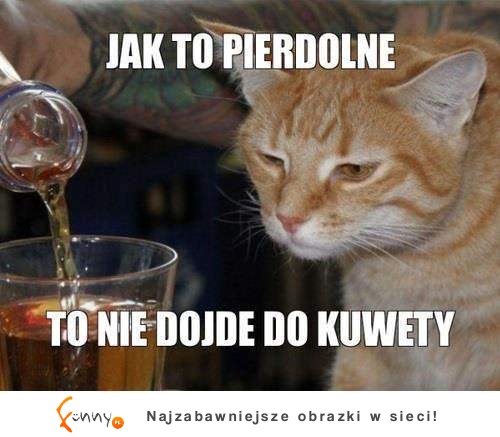 Nie dojdzie do kuwety...