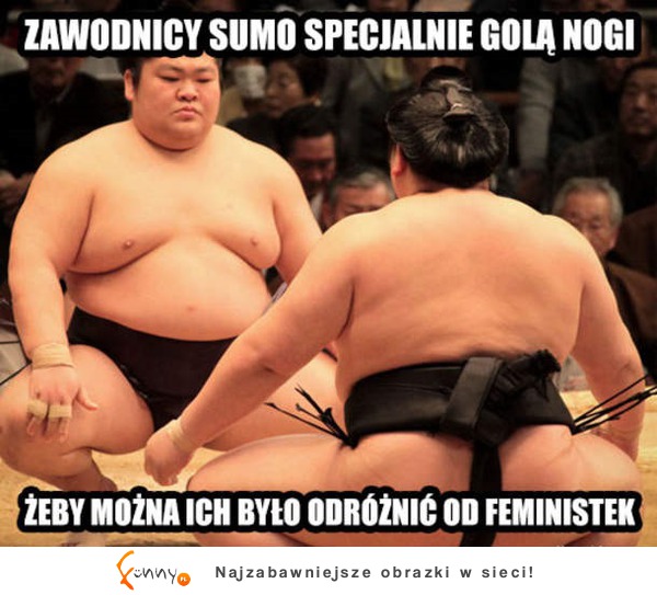 Taka ciekawostka