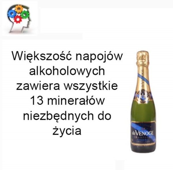 Alkohol=życie