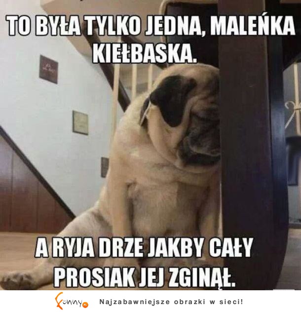 O co ten cały hałas? ;/