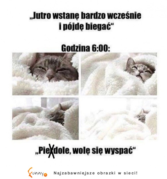 dzień jak codzień