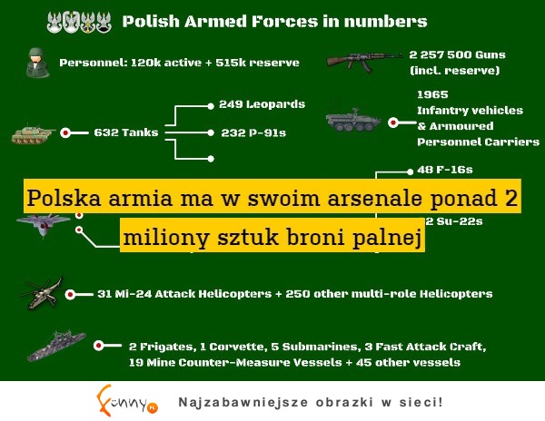 Polska armia w liczbach :)