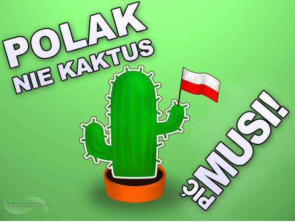 Polak nie kaktus