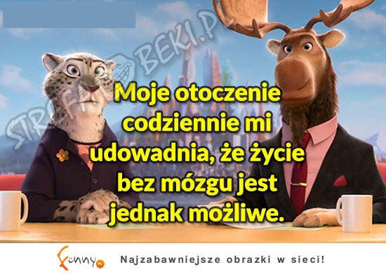 Moje otoczenie