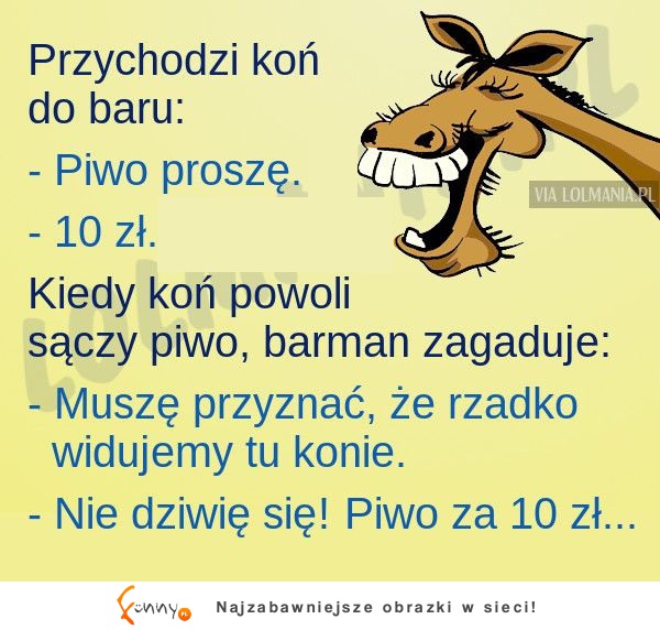 Kawał dnia! Przychodzi koń do baru... HAHA!