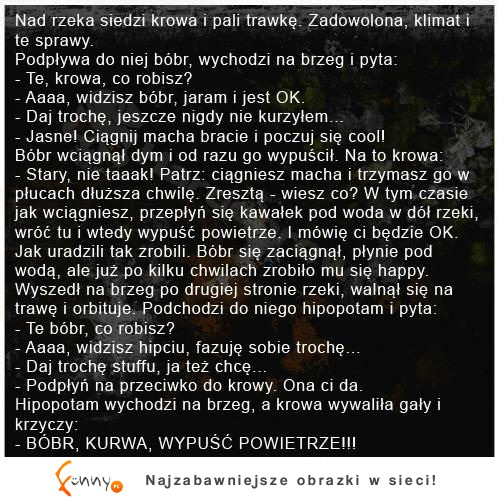 Nad rzeka siedzi krowa i pali trawkę! Dobry kawał :D