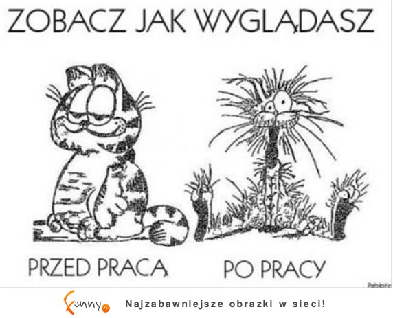 Przed pracą vs po pracy