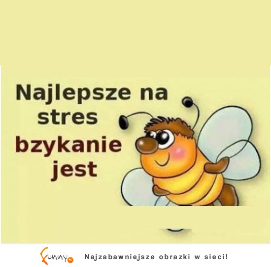 NAJLEPSZY sposób na STRES! HAHA!