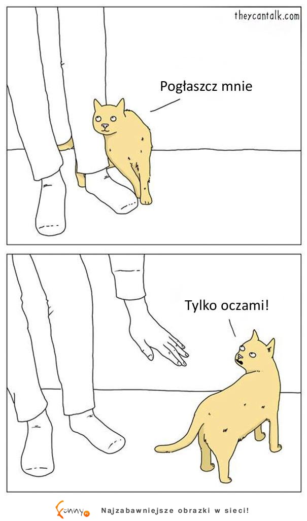 Co by było, gdyby zwierzaki potrafiły mówić Co by było, gdyby zwierzaki potrafiły mówić