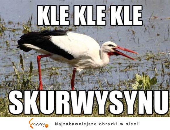 Kle kle