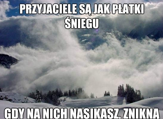 przyjaciele...