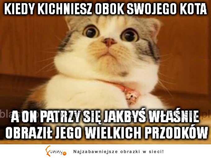 jak mogłeś?!