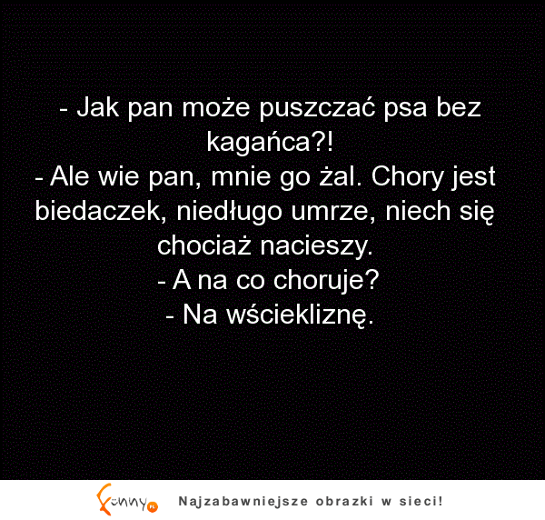 Sąsiad spotyka drugiego sąsiada na spacerze z psem XD