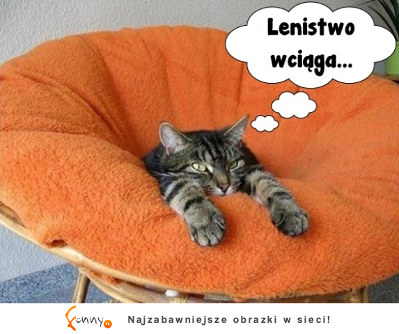 Lenistwo wciąga