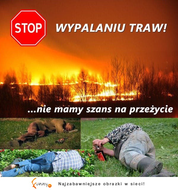 Nie wypalaj traw ;D