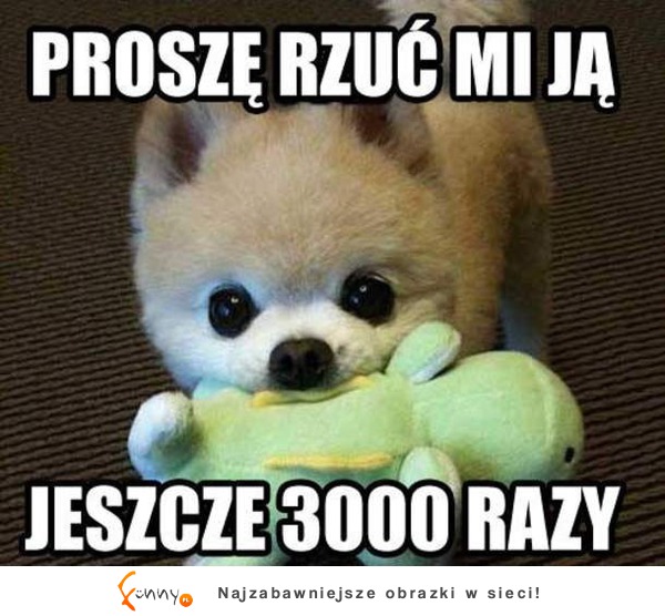 Proszę rzuć mi ją :D