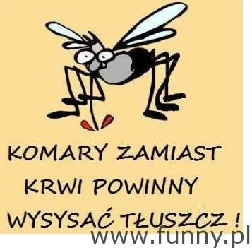 komar