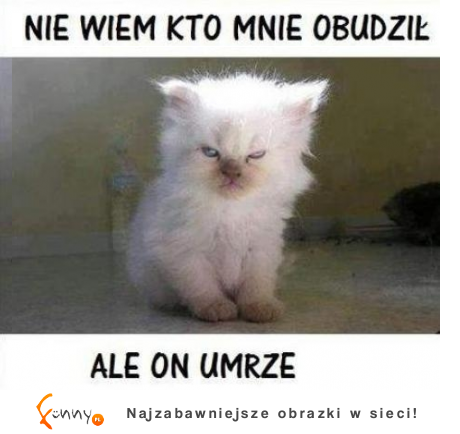 Nie wiem kto mnie obudził, ale...