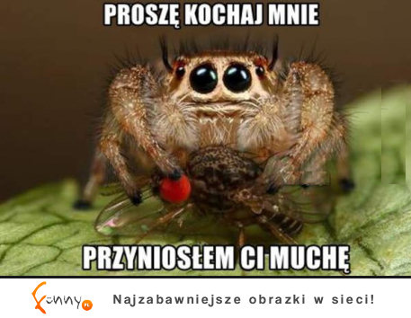 Prosze Kochaj mnie