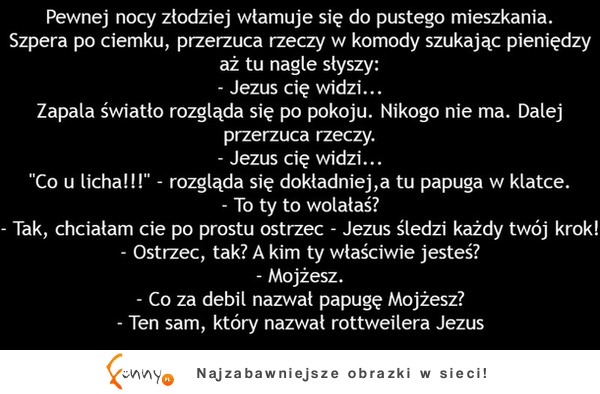 Pewnej nocy złodziej włamuje się do mieszkania