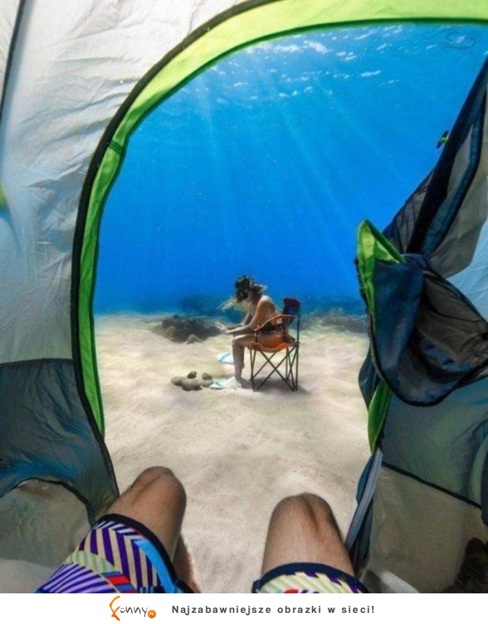 Jeśli szukasz idealnego miejsca na camping, to weź od nich przykład :) Opłaca się!