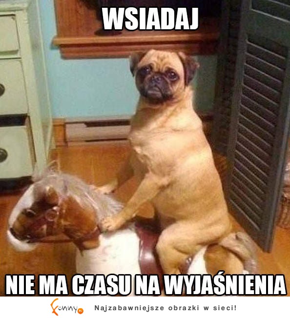 Wsiadaj! :D