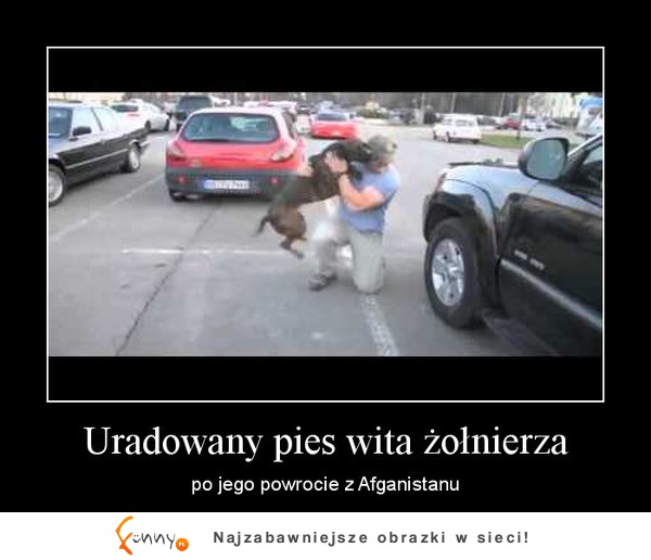 Uradowany pies wita żołnierza po jego powrocie z Afganistanu... Piękne zdjęcie!