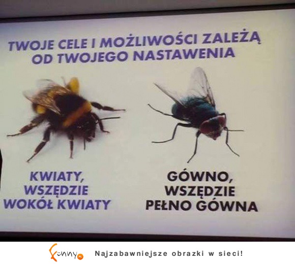 wszystko zależy od nastawienia