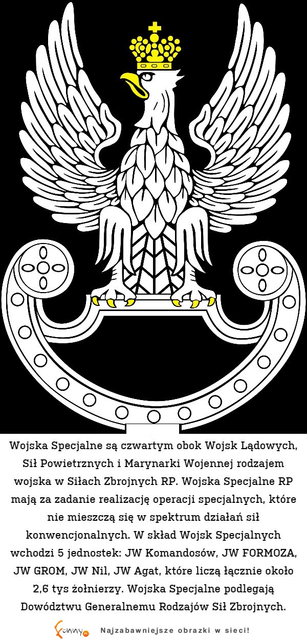 Tego nie wiedziałeś o Wojskach Specjalnych!