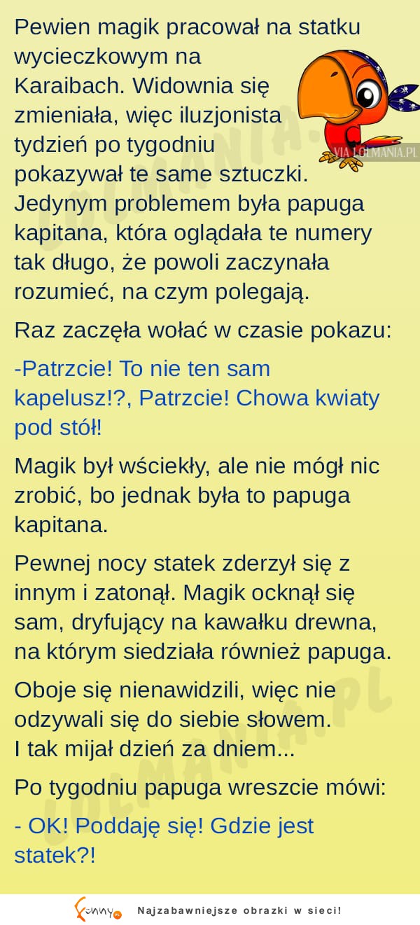 Papuga była bezbłędna! HAHA mega kawał!