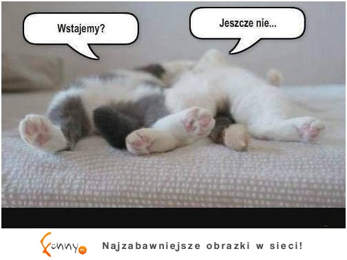 Wstajemy? :)