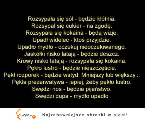 12 najlepszych polskich PRZESĄDÓW! Zobacz wszystkie!