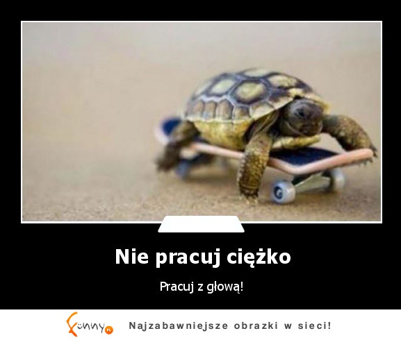 Nie pracuj ciężko! Pracuj z głową :D