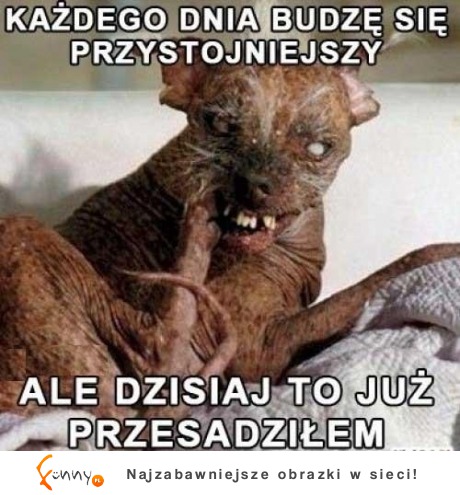 Każdego dnia....