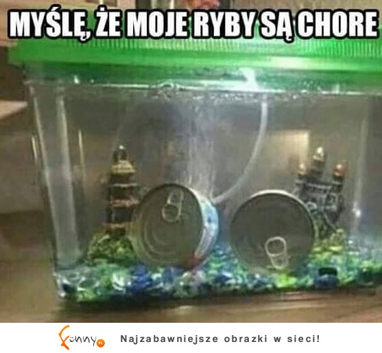 chore ryby