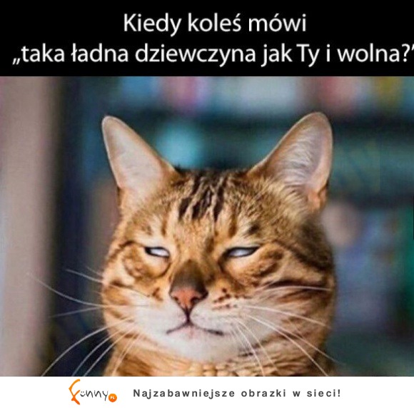 kiedy jakiś koleś mówi